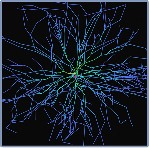 Neuron data connected by line segments