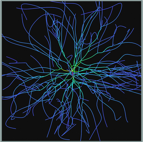 Neuron data with splines